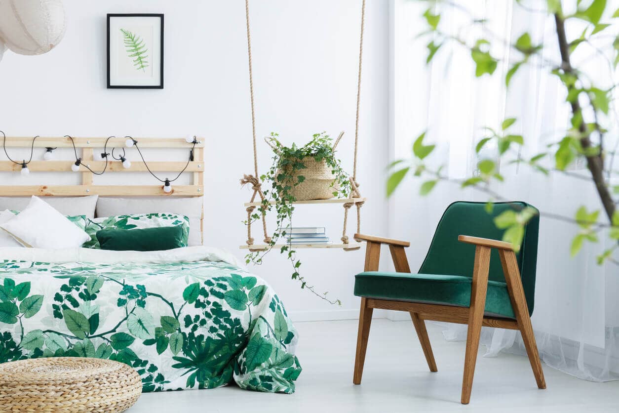 plantas en el dormitorio oxigeno