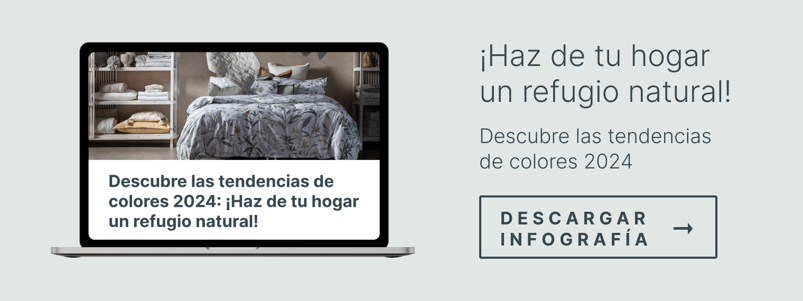 RSN - CTA - Infografía colores 2024 - Post (1)