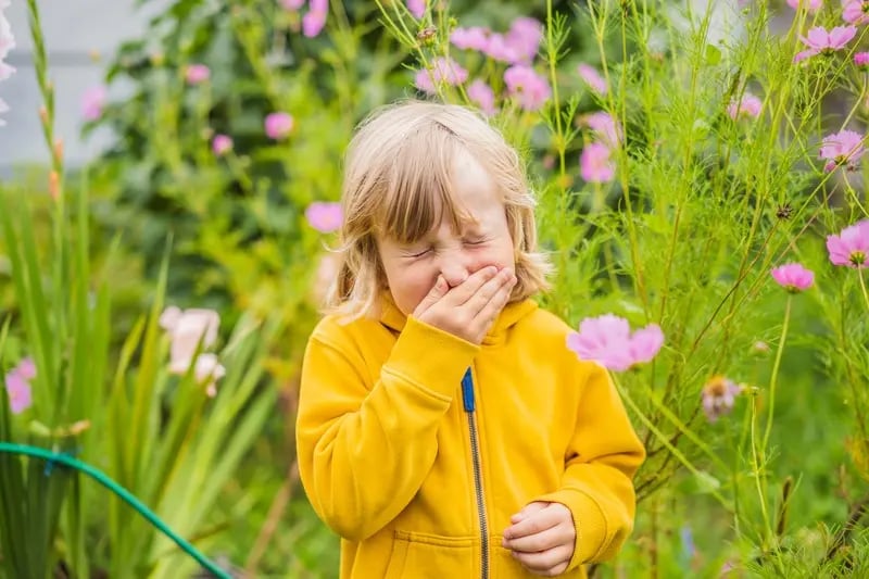 alergia a la primavera