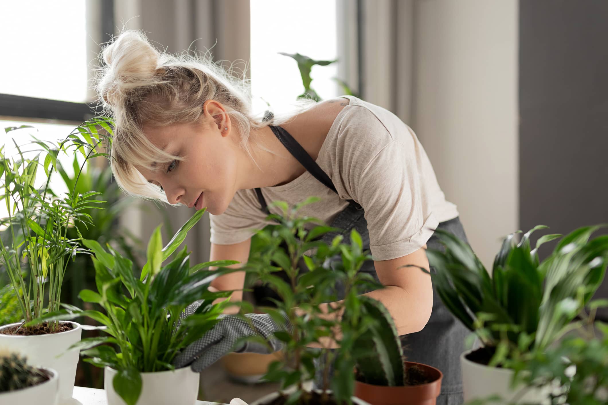 Plantas para departamentos