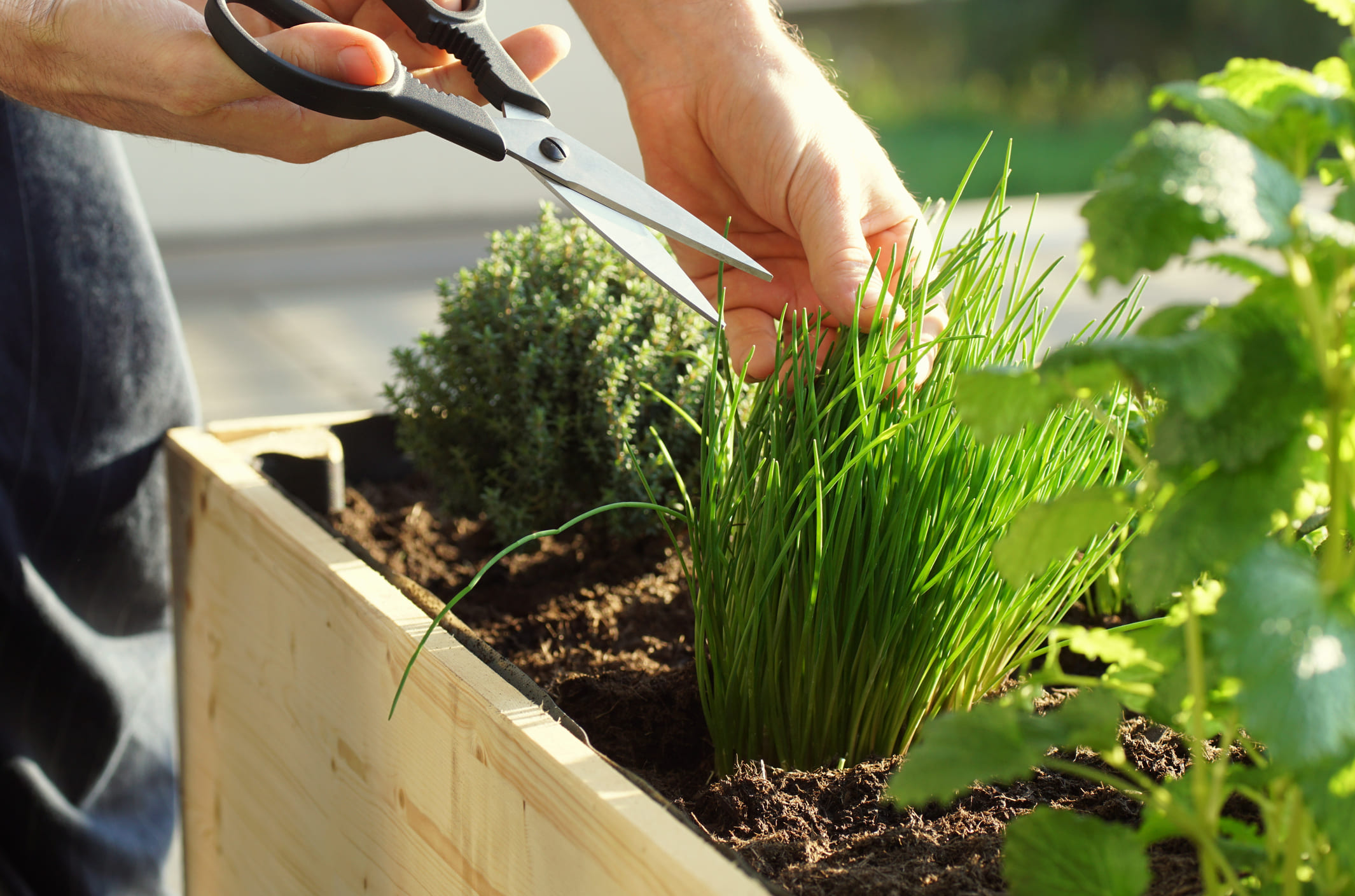 como hacer jardineras de madera