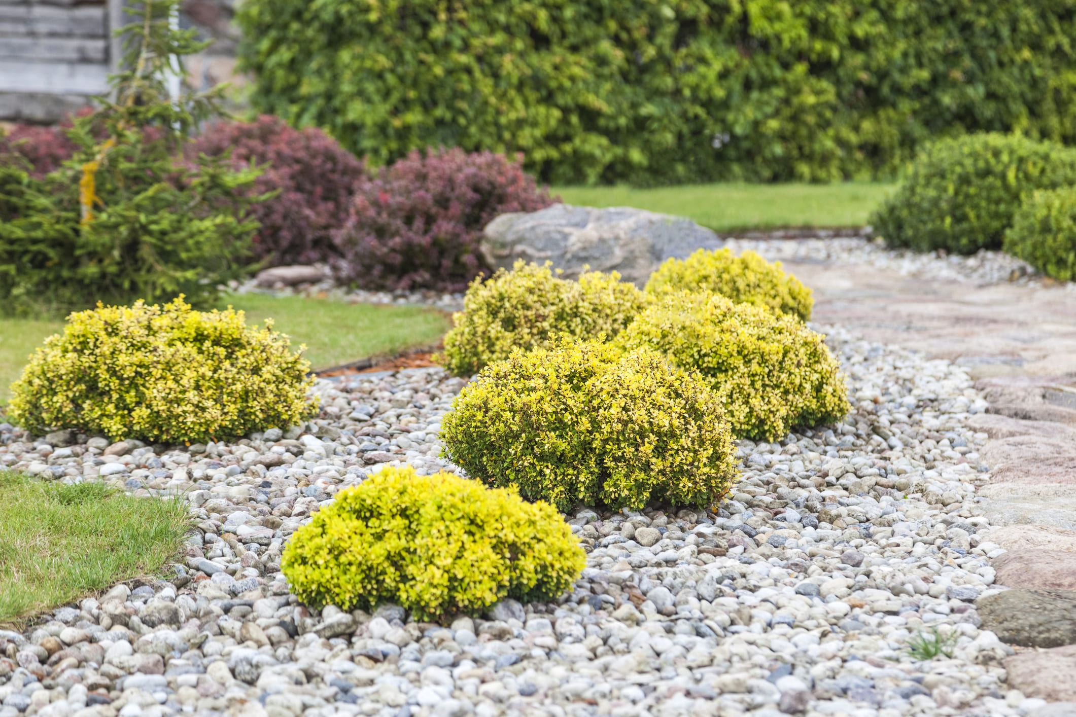 antejardin con piedras