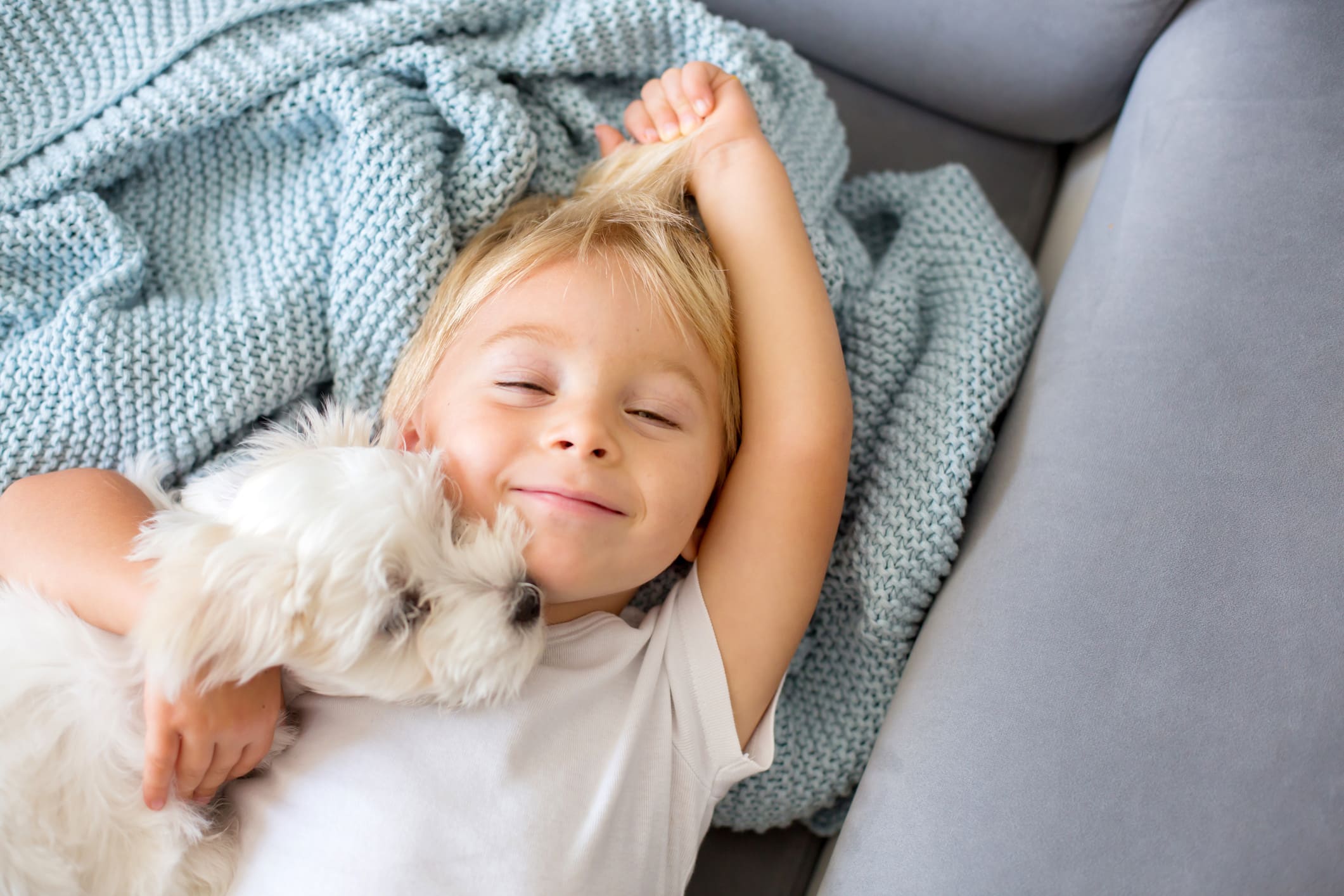 mascotas para niños