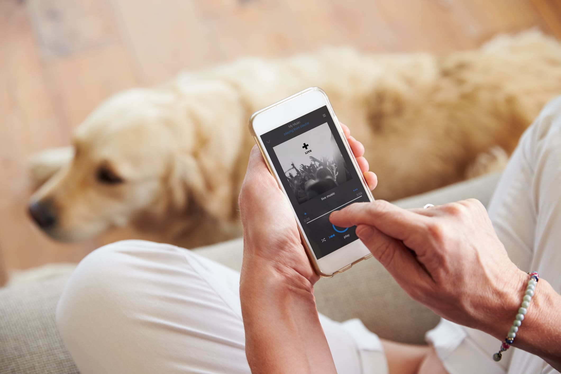 música para perros